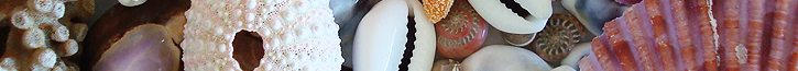 about-us-banner.jpg