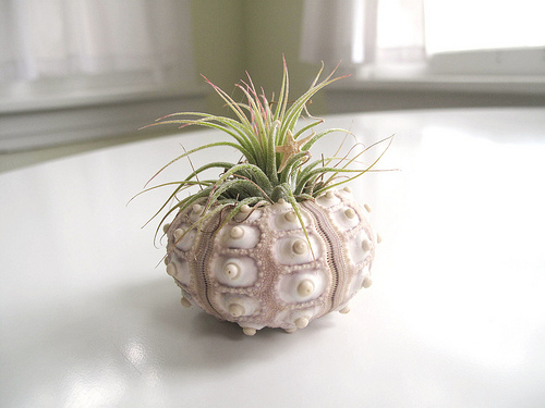 sputnik-planter.jpg