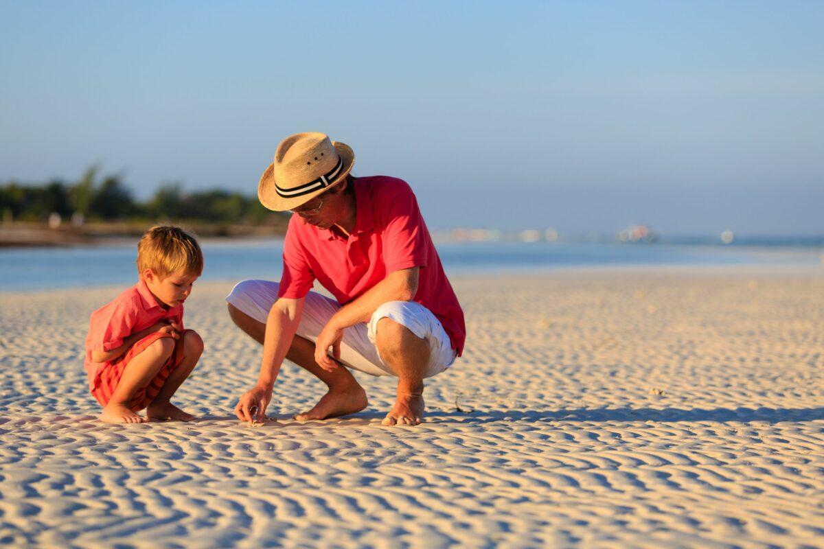 Father and son picking up sea shells.