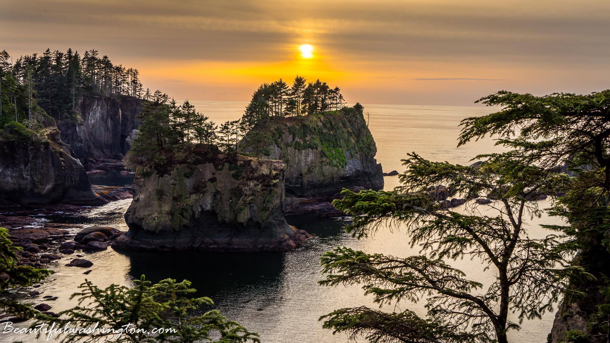 Image of Pacific North West Coast