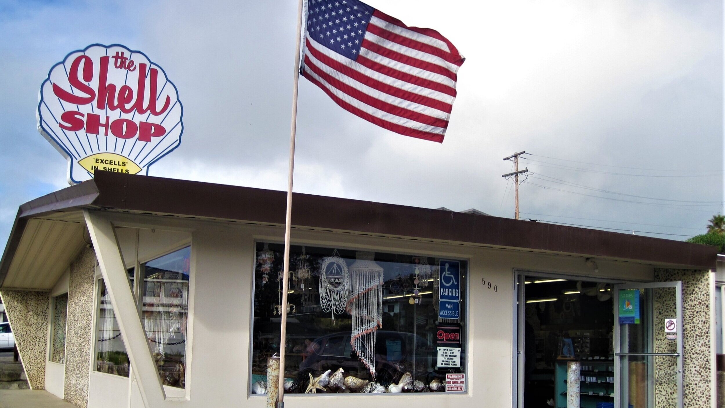 The Shell Shop