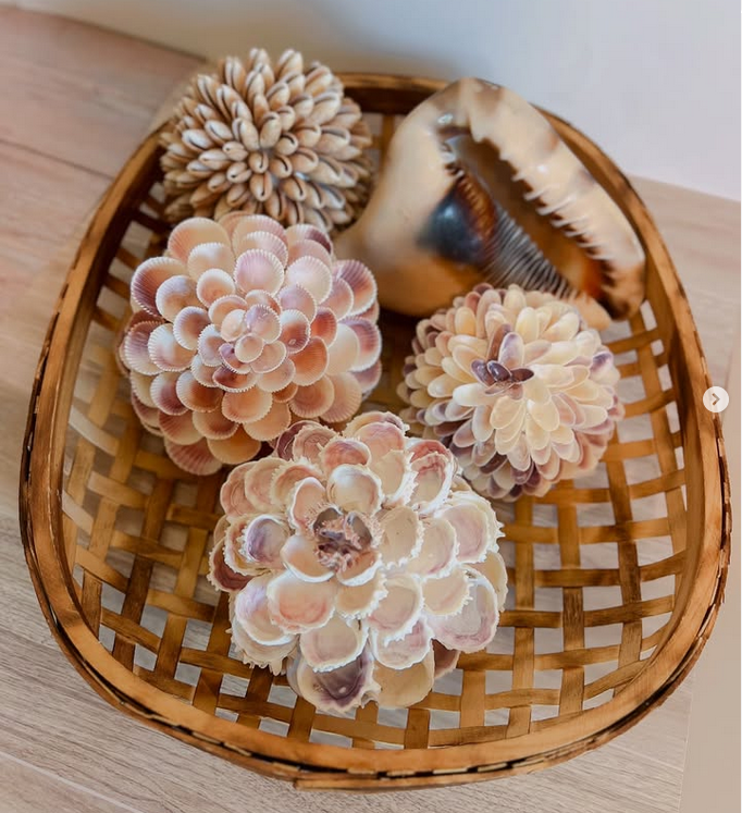 shellart-mommysellsseashells2.png