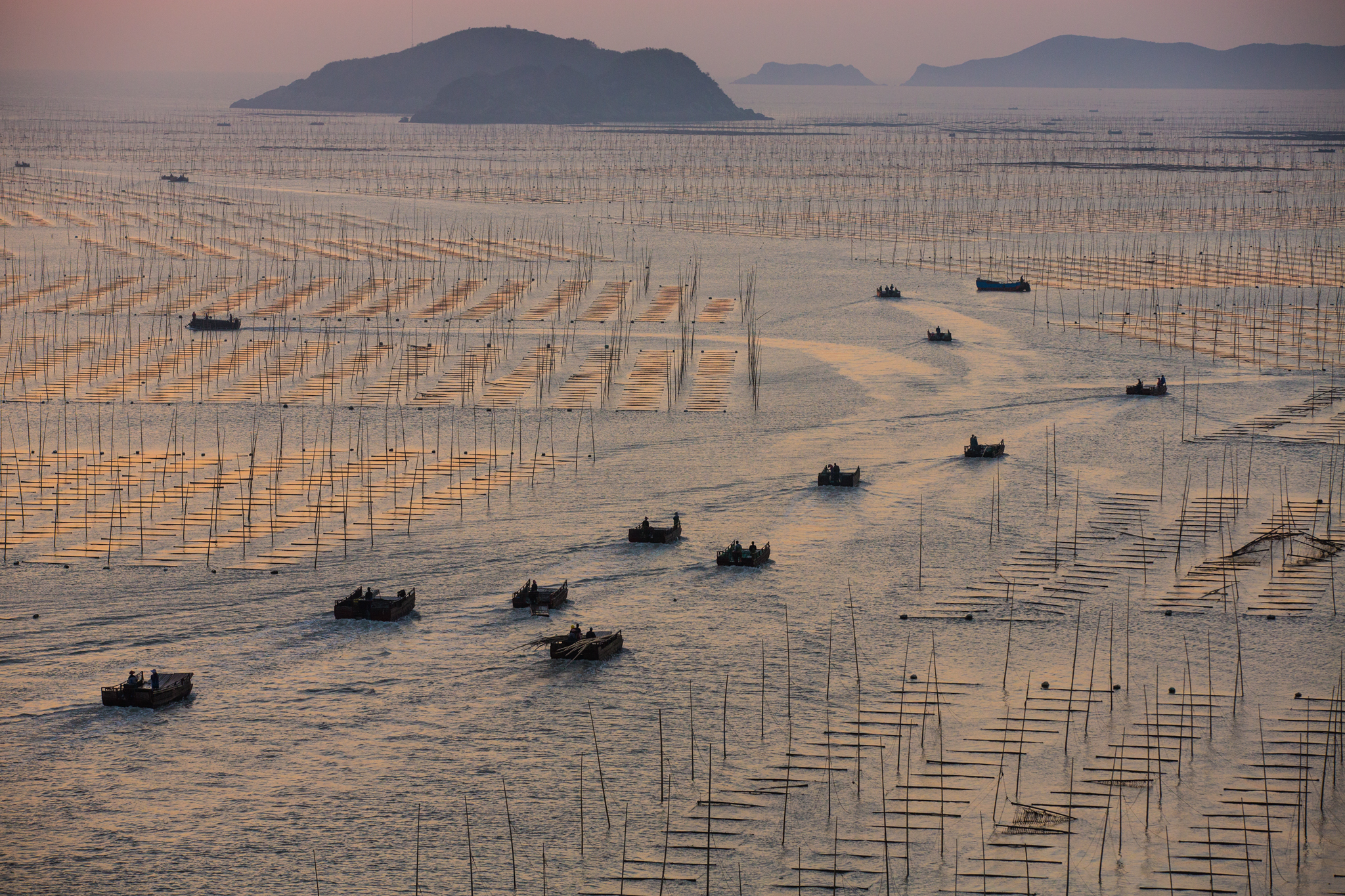 Asian coastal shell farm