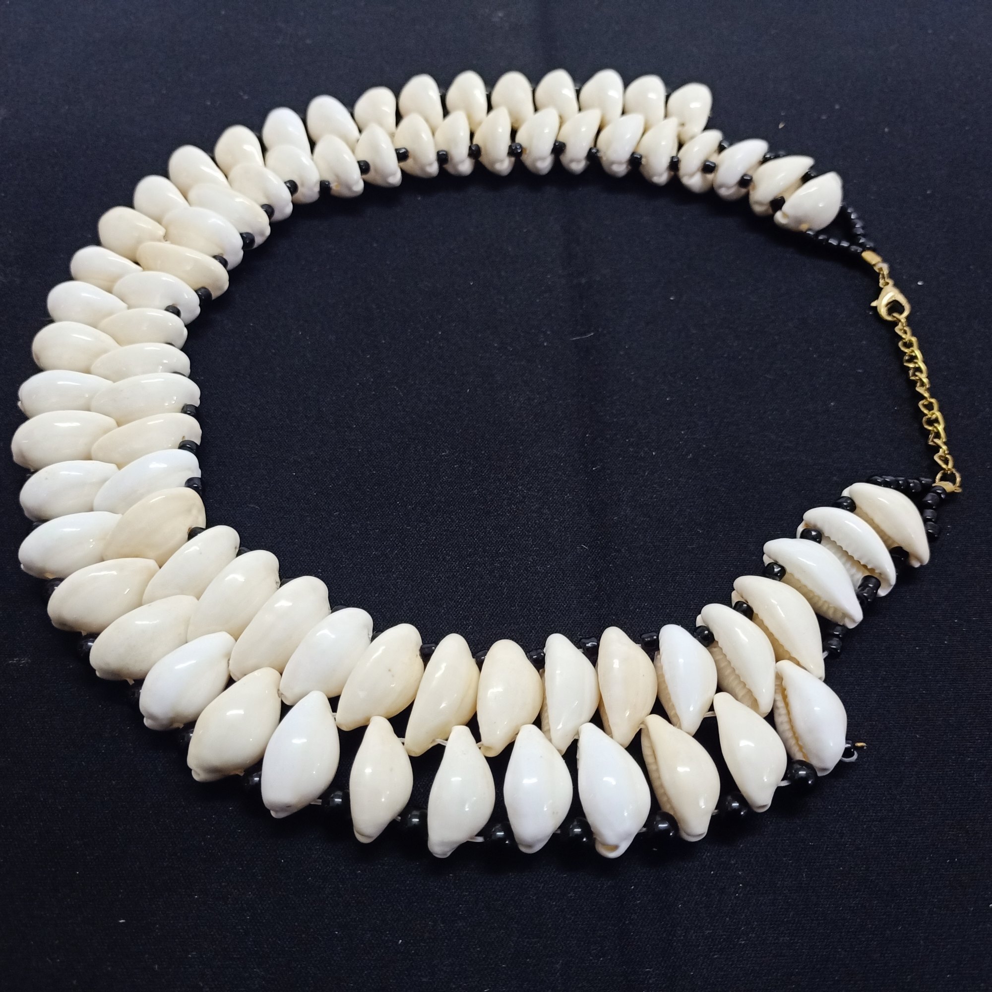 a shell necklace
